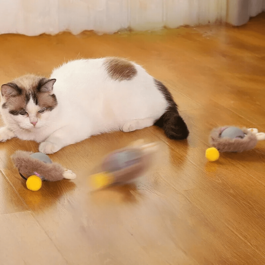 Balle interactive pour chats avec queue réaliste – Image 5