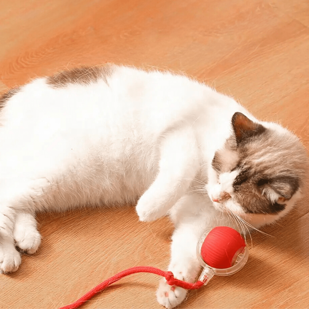 Balle interactive pour chats avec queue réaliste – Image 2